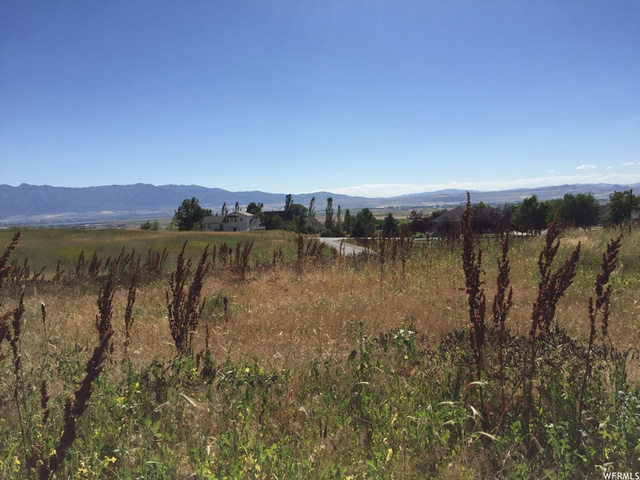 225 N 900 E, Hyde Park, UT 84318 — photo 9