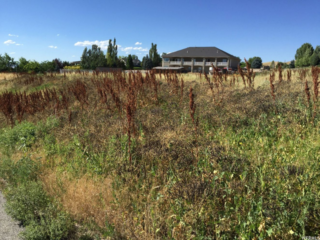 225 N 900 E, Hyde Park, UT 84318 — photo 7