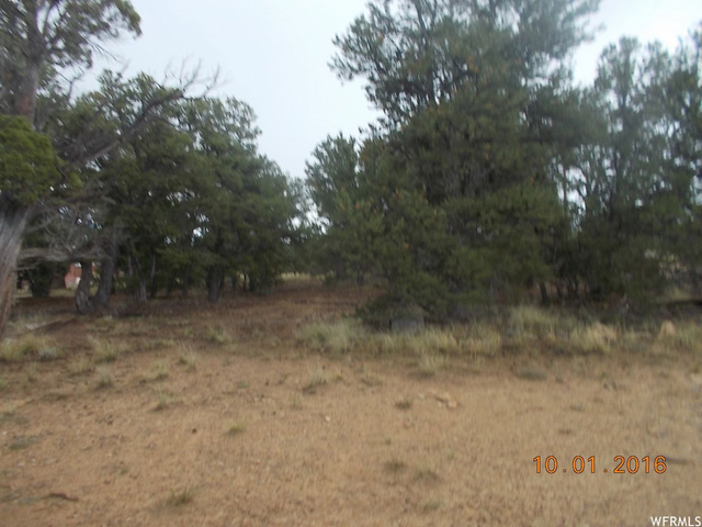 #411, Fruitland, UT 84027 — photo 4