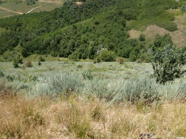 #44, Huntsville, UT 84317 — photo 3