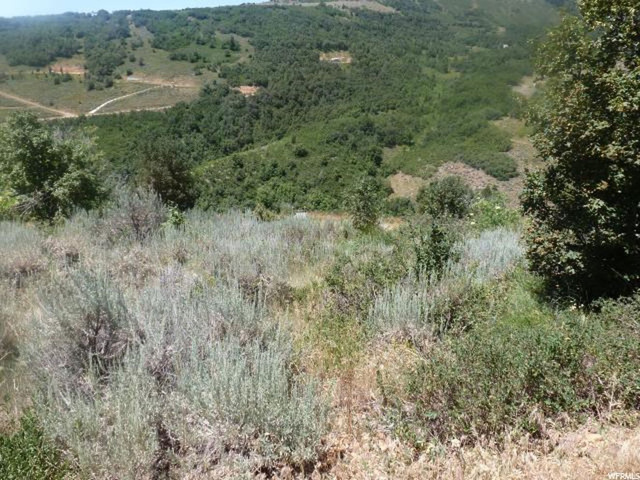 #44, Huntsville, UT 84317 — photo 8