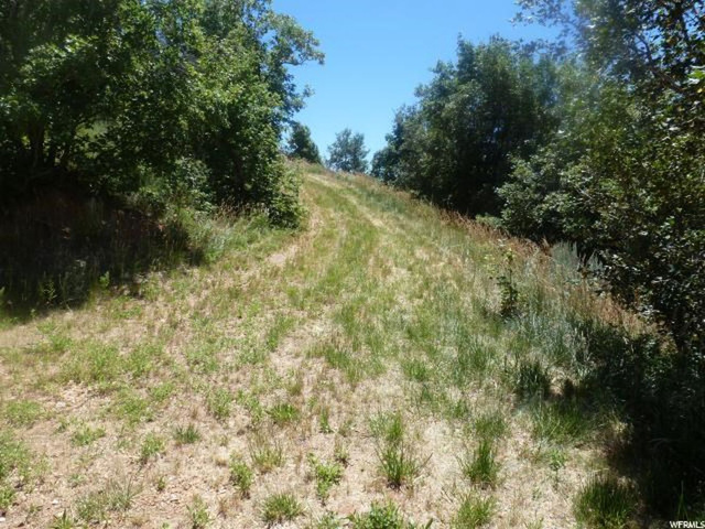 #44, Huntsville, UT 84317 — photo 7