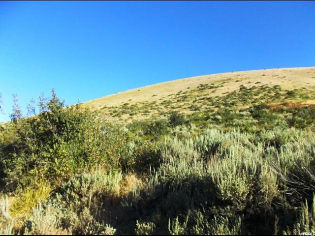 #1, Paris, ID 83261 — photo 6