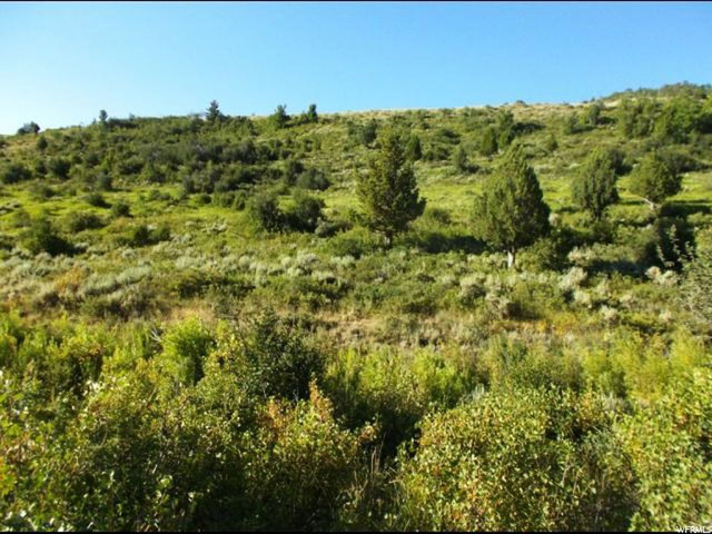 #1, Paris, ID 83261 — photo 8