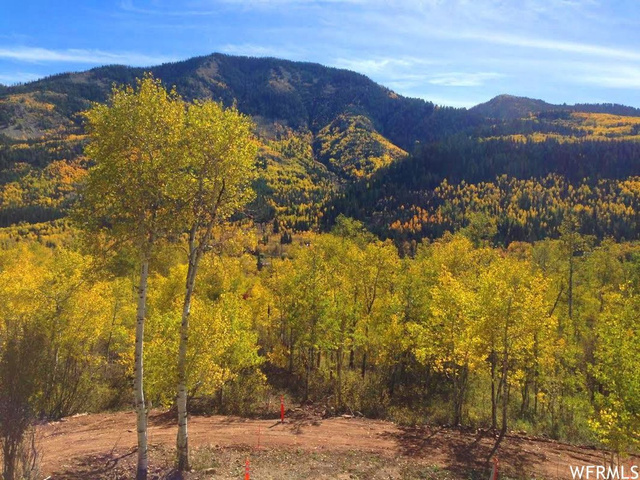6726 E Geronimo #86, Oakley, UT 84055 — photo 5