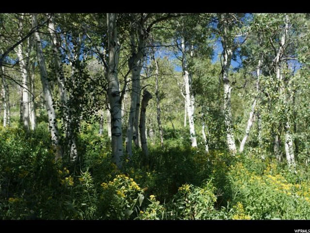 27 N Legacy E #27, Paradise, UT 84328 — photo 8