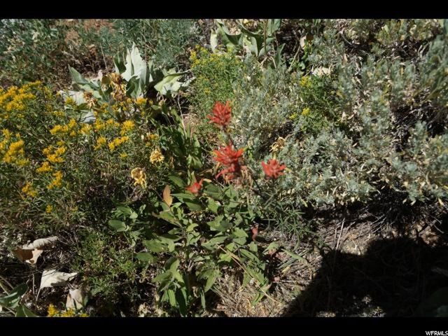 27 N Legacy E #27, Paradise, UT 84328 — photo 4