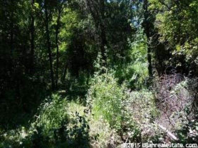 5 Cub River Rd #5, Preston, ID 83263 — photo 7