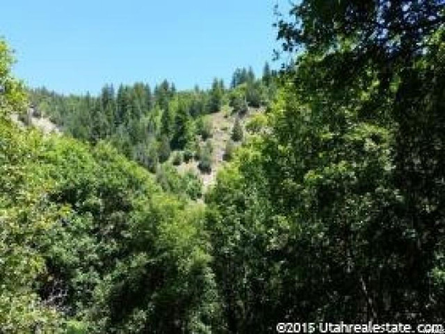 5 Cub River Rd #5, Preston, ID 83263 — photo 8