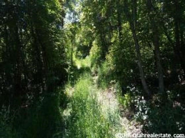 5 Cub River Rd #5, Preston, ID 83263 — photo 9
