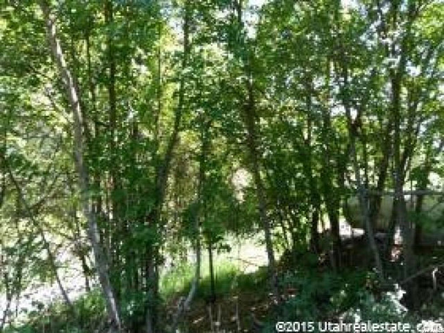 5 Cub River Rd #5, Preston, ID 83263 — photo 4