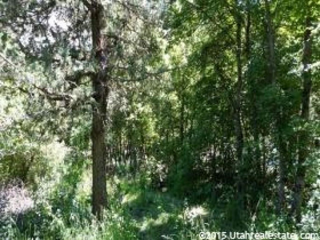 5 Cub River Rd #5, Preston, ID 83263 — photo 3