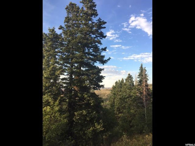 122 Elkridge Rd #122, Echo, UT 84024 — photo 8