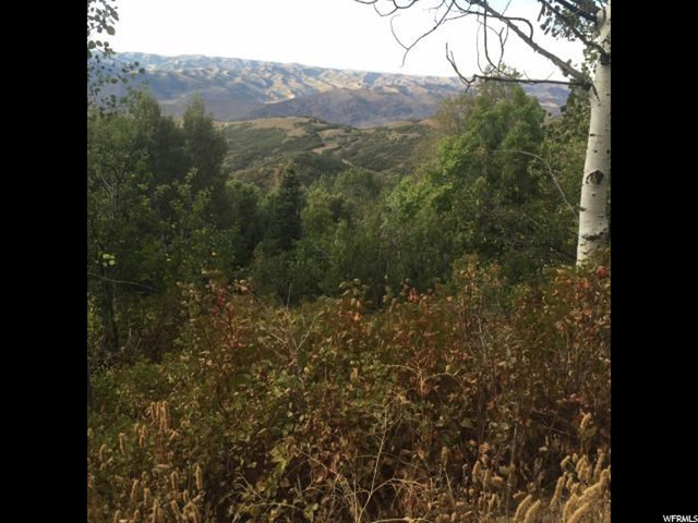 122 Elkridge Rd #122, Echo, UT 84024 — photo 3
