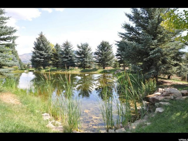 1180 S Stringtown Rd W, Midway, UT 84049 — photo 11