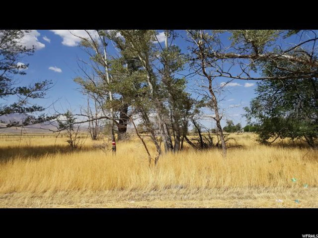 #1, Scipio, UT 84656 — photo 9