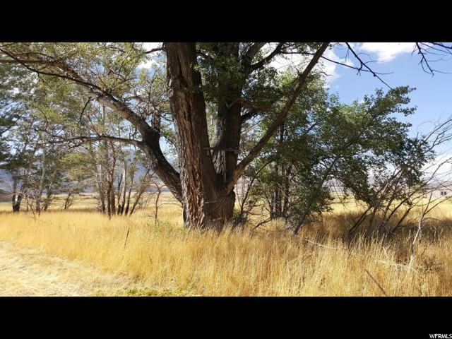 #1, Scipio, UT 84656 — photo 8