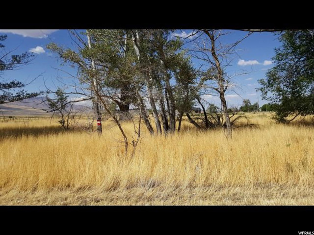 #1, Scipio, UT 84656 — photo 7