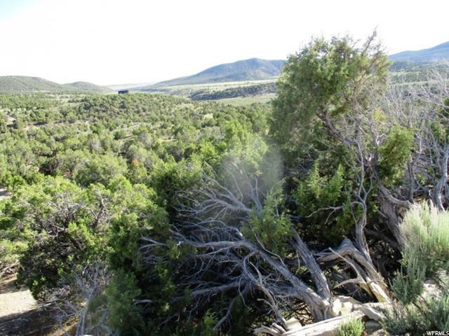 12650 E High Lonsome Dr, Lapoint, UT 84039 — photo 10