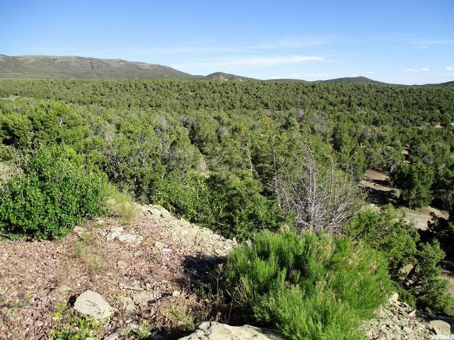 12650 E High Lonsome Dr, Lapoint, UT 84039 — photo 9