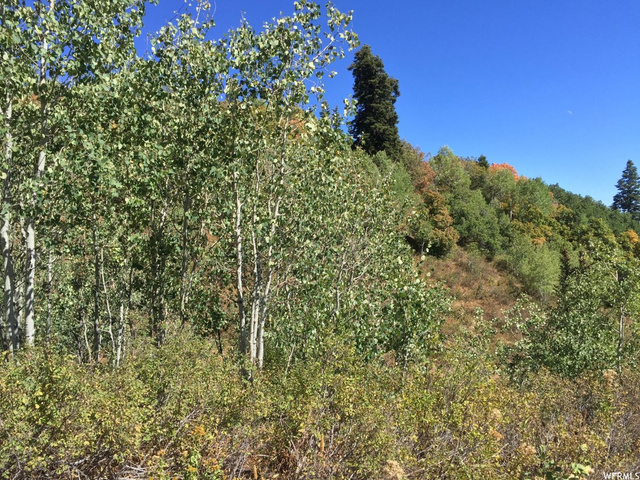 1868 W Saltbox Cir #E-24, Wanship, UT 84017 — photo 7
