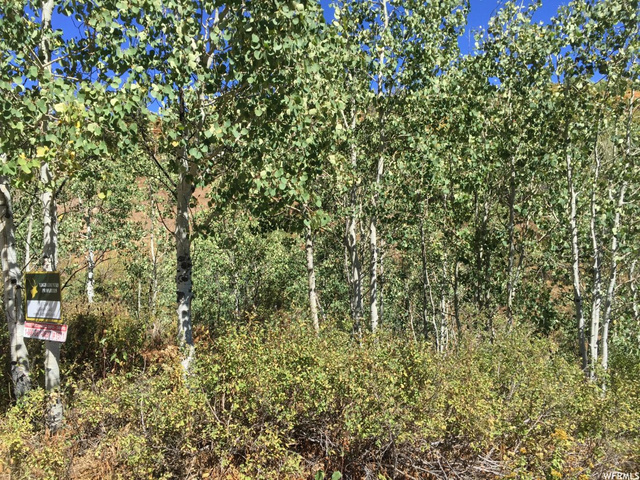 1868 W Saltbox Cir #E-24, Wanship, UT 84017 — photo 8