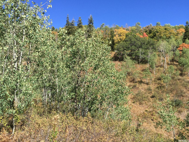 1868 W Saltbox Cir #E-24, Wanship, UT 84017 — photo 10