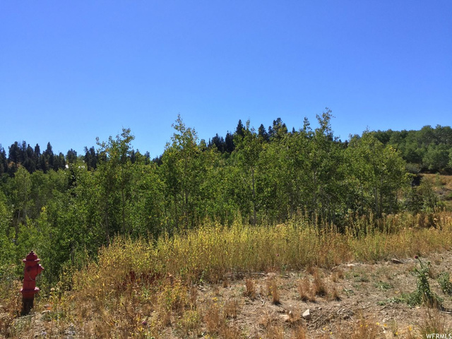 1868 W Saltbox Cir #E-24, Wanship, UT 84017 — photo 4