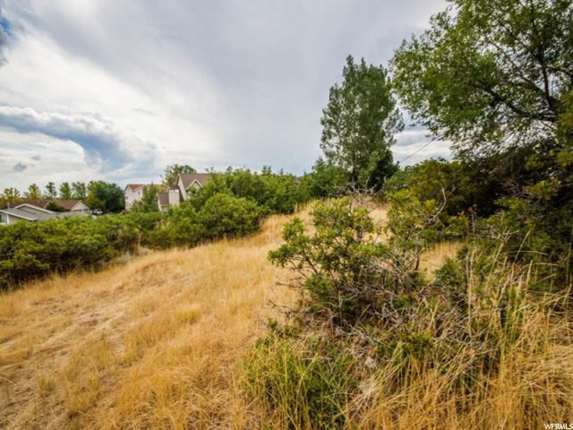 2060 E 2900 N #1, Layton, UT 84040 — photo 12