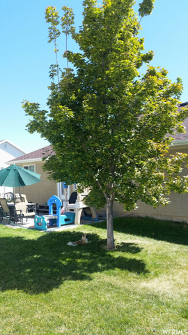 737 E 2050 S, Clearfield, UT 84015 — photo 11