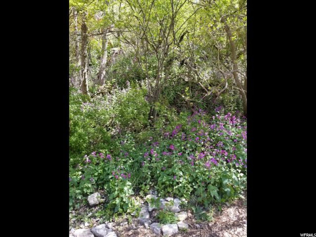 415 Ogden Cyn, Ogden, UT 84401 — photo 6