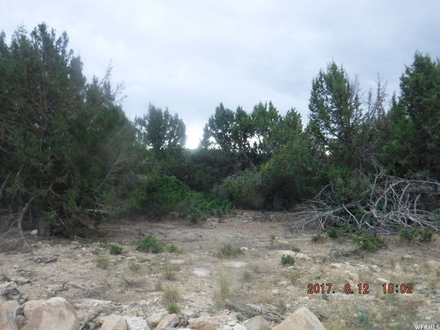 12820 E Juniper Dr #B-38, Fairview, UT 84629 — photo 5