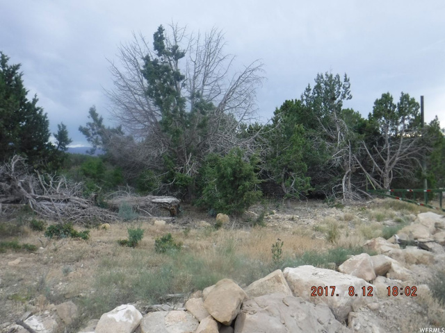 12820 E Juniper Dr #B-38, Fairview, UT 84629 — photo 6