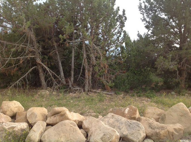 12820 E Juniper Dr #B-38, Fairview, UT 84629 — photo 3
