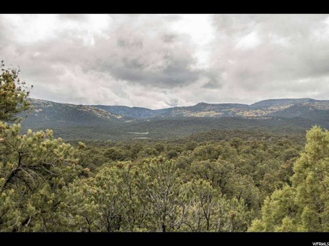 700 S Highway 12 St E, Grover, UT 84773 — photo 6
