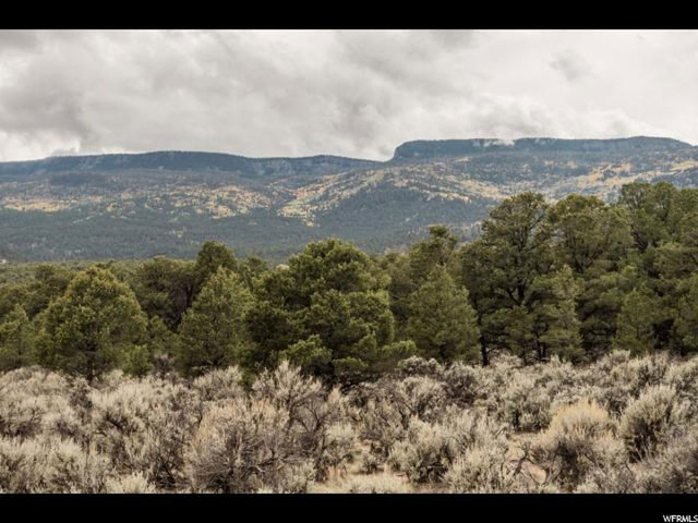 700 S Highway 12 St E, Grover, UT 84773 — photo 4