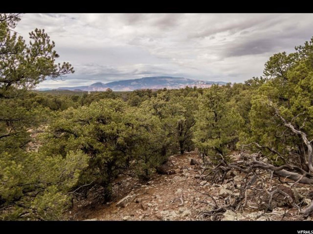 700 S Highway 12 St E, Grover, UT 84773 — photo 8