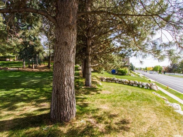 3223 S Davis Blvd #3, Bountiful, UT 84010 — photo 9