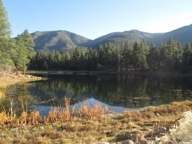 #28, Pine Valley, UT 84781 — photo 5