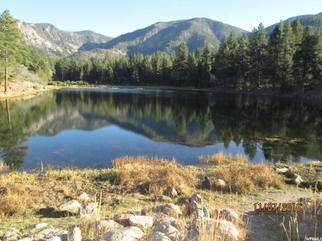 #28, Pine Valley, UT 84781 — photo 7