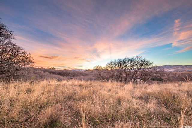 848 E Jackson Ln S #10, Alpine, UT 84004 — photo 5