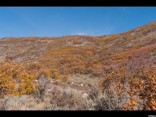 11638 N White Tail Ct #80A, Hideout, UT 84036 — photo 12