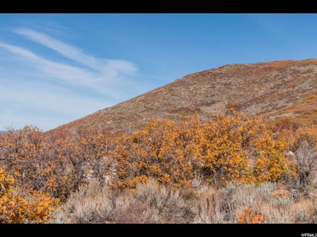 11638 N White Tail Ct #80A, Hideout, UT 84036 — photo 11