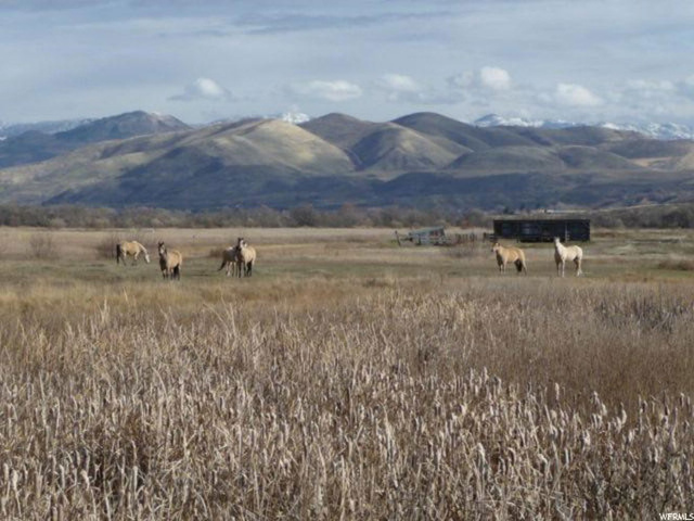 #3,4, Preston, ID 83263 — photo 8