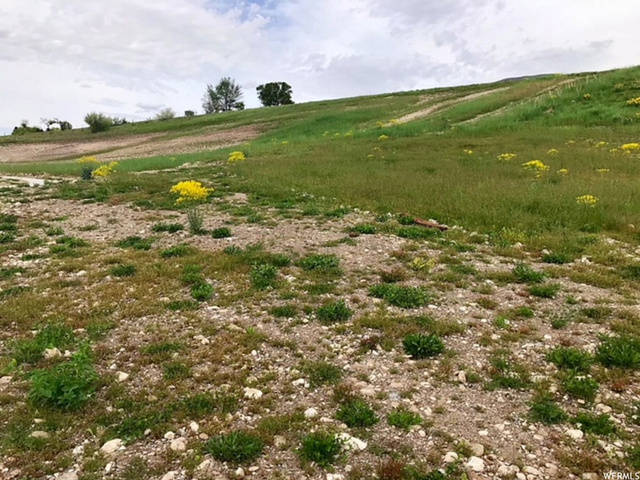 570 N 250 E #8, Millville, UT 84326 — photo 5