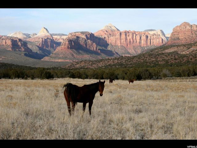 #2, Virgin, UT 84779 — photo 5