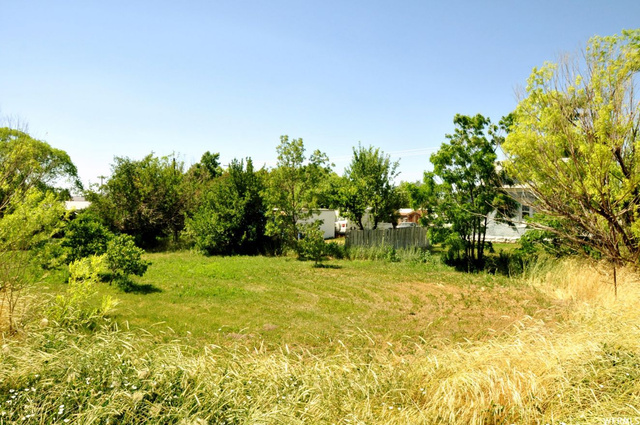 41 W Center St, Levan, UT 84639 — photo 9