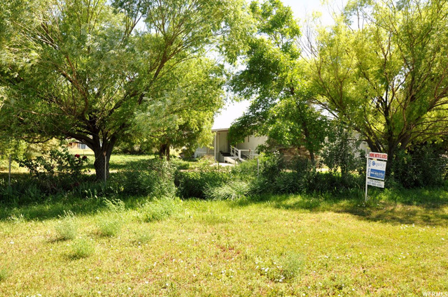 41 W Center St, Levan, UT 84639 — photo 12