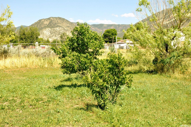 41 W Center St, Levan, UT 84639 — photo 10