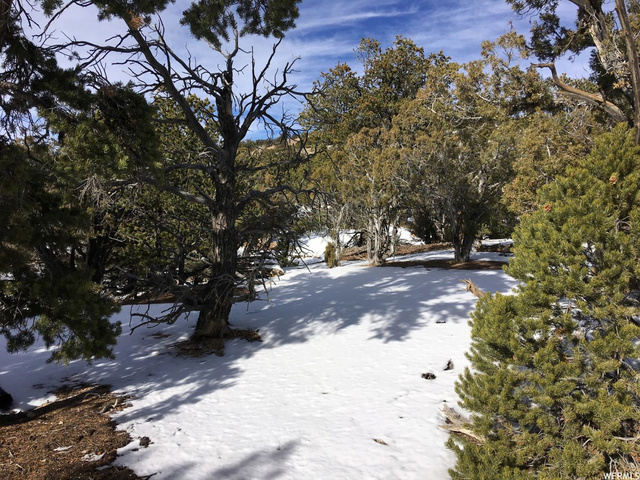 #10, Fruitland, UT 84027 — photo 8